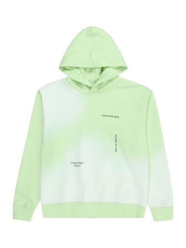 Calvin Klein Jeans Sweatshirt  lysegrøn / sort / hvid
