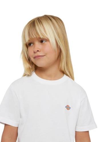 DICKIES Shirts 'YOUTH MAPLETON '  sort / hvid