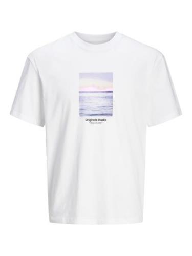 JACK & JONES Bluser & t-shirts 'JORVESTERBRO'  navy / lyseblå / lyseli...