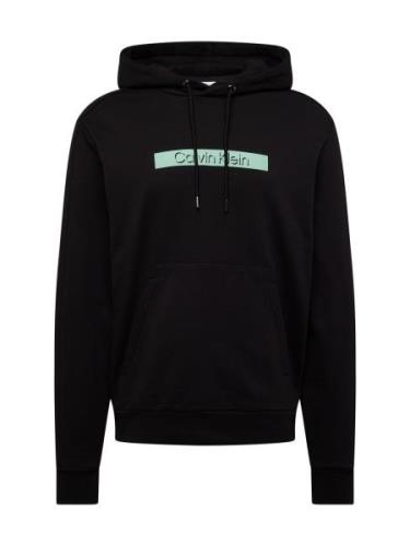 Calvin Klein Sweatshirt  mint / sort