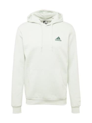 ADIDAS SPORTSWEAR Sportsweatshirt 'FEELCOZY'  pastelgrøn