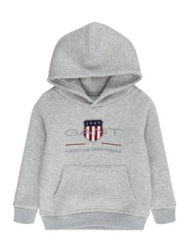 GANT Sweatshirt  navy / grå / carminrød / hvid