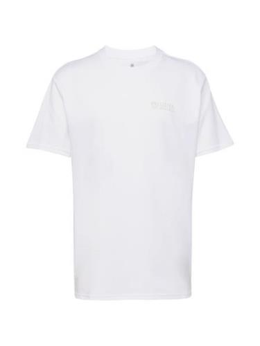 HOLLISTER Bluser & t-shirts  greige / hvid