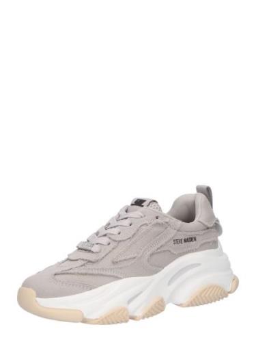 STEVE MADDEN Sneaker low 'Park Ave'  taupe