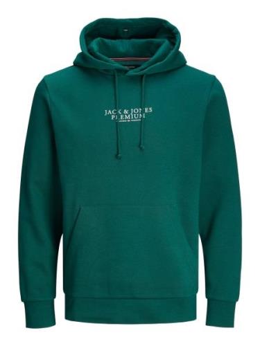 JACK & JONES Sweatshirt 'ARCHIE'  mørkegrøn / brandrød / uldhvid