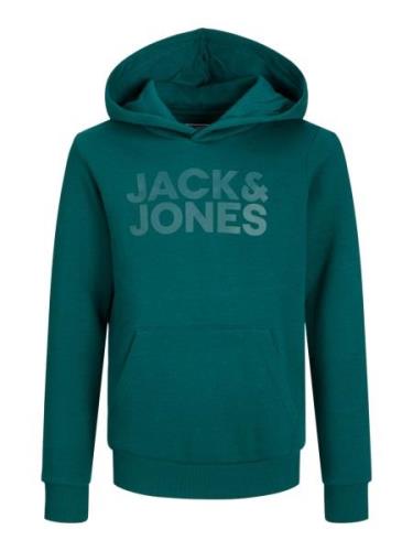 Jack & Jones Junior Sweatshirt  smaragd