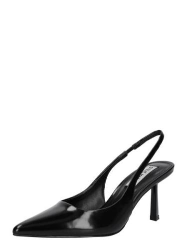 STEVE MADDEN Slingpumps 'Valoris'  sort