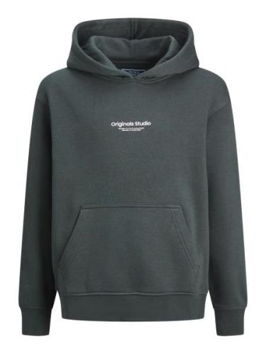 Jack & Jones Junior Sweatshirt 'JORVESTERBRO'  gran / hvid