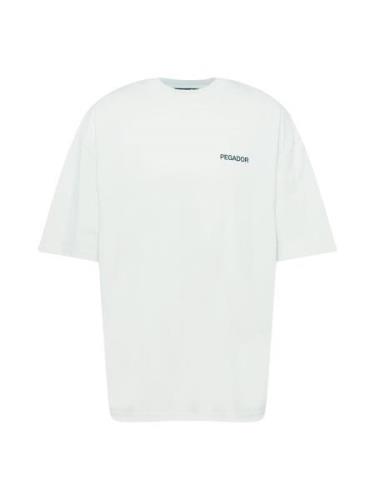 Pegador Bluser & t-shirts 'ALESO'  lysebeige / pastelblå / sort