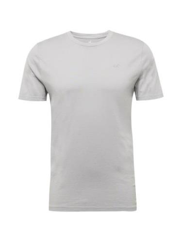 HOLLISTER Bluser & t-shirts  grå / lysegrå