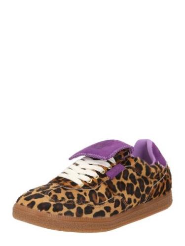 STEVE MADDEN Sneaker low 'Ethora'  umbra / cappuccino / mørkebrun / li...