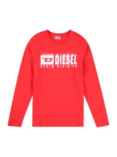 DIESEL Shirts 'TDIEGORL6LS'  rød / hvid