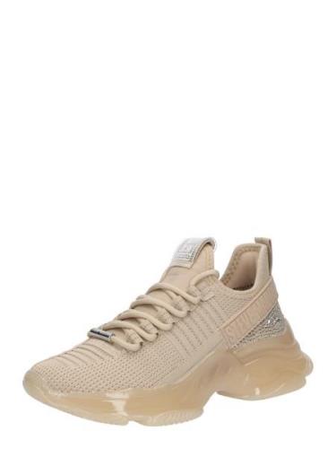 STEVE MADDEN Sneaker low 'Maxilla-R'  beige