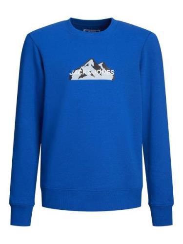 Jack & Jones Junior Sweatshirt  blå / lysegrå / sort / hvid