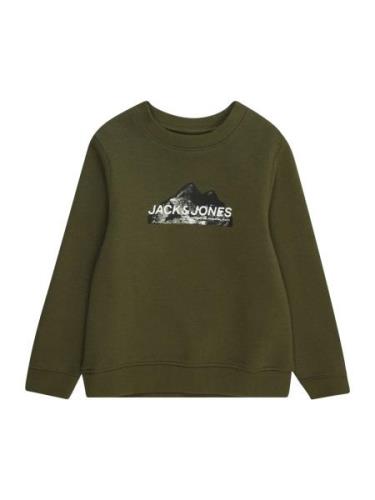 Jack & Jones Junior Sweatshirt  grøn / sort / hvid