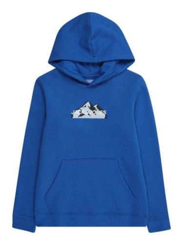 Jack & Jones Junior Sweatshirt  royalblå / pastelblå / sort