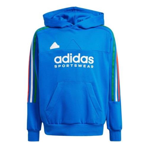 ADIDAS SPORTSWEAR Sportsweatshirt 'Tiro Nations'  royalblå / grøn / rø...