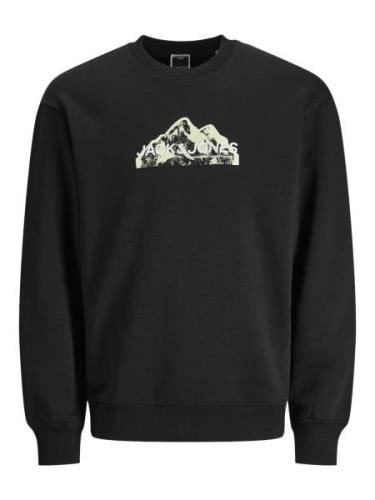 JACK & JONES Sweatshirt  mørkegrå / lysegrøn / sort / offwhite