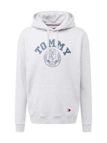 Tommy Jeans Sweatshirt  safir / lysegrå / rød / hvid