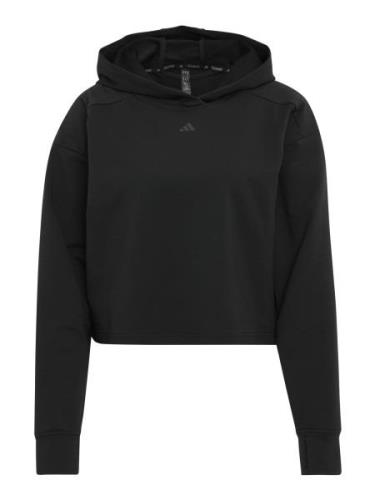 ADIDAS PERFORMANCE Sportsweatshirt 'POWER'  grå / sort