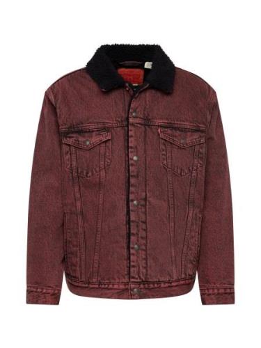 LEVI'S ® Overgangsjakke  brun / sort