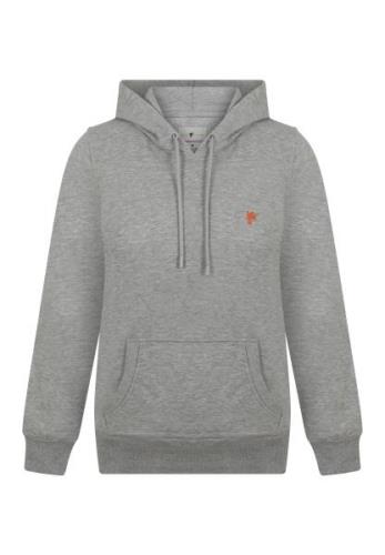 DENIM CULTURE Sweatshirt 'Zenaida'  grå-meleret / rustrød