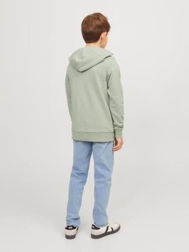 Jack & Jones Junior Sweatshirt  navy / lysegrå / offwhite