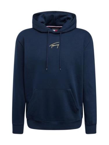 Tommy Jeans Sweatshirt  navy / guld