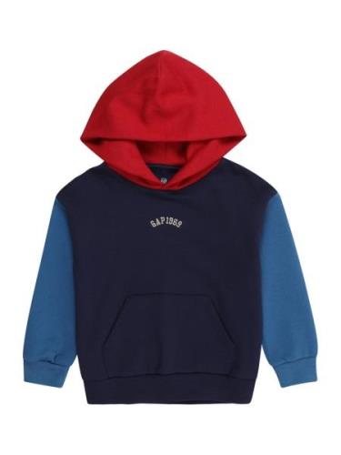 GAP Sweatshirt  beige / marin / navy / rød