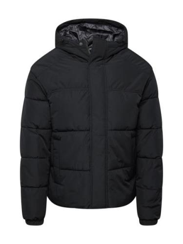 JACK & JONES Vinterjakke 'JJEBRADLEY'  sort