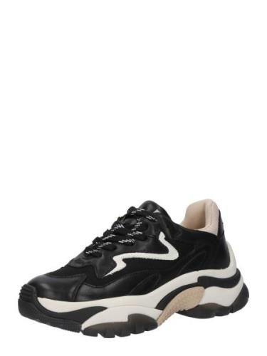 ASH Sneaker low  sort / hvid