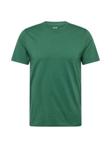 HOLLISTER Bluser & t-shirts  siv