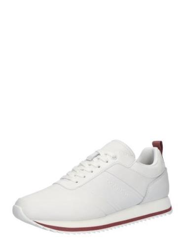 Calvin Klein Sneaker low  kastaniebrun / hvid