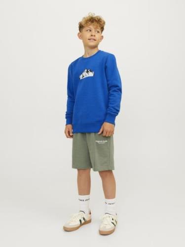 Jack & Jones Junior Sweatshirt  røgblå / royalblå / sort / hvid