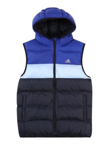 ADIDAS SPORTSWEAR Sportsvest  blå / natblå / lyseblå / grå