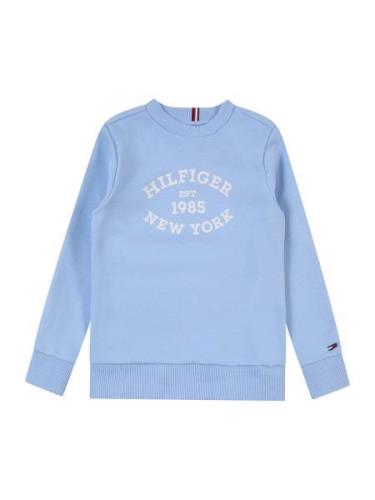 TOMMY HILFIGER Sweatshirt  navy / lyseblå / rød / hvid