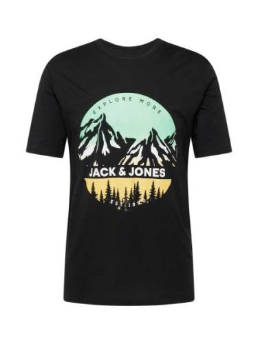 JACK & JONES Bluser & t-shirts 'JJPEAK'  pastelgul / mint / sort / hvi...