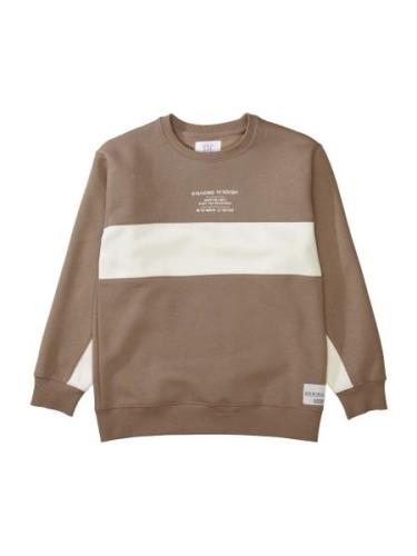 STACCATO Sweatshirt  taupe / uldhvid