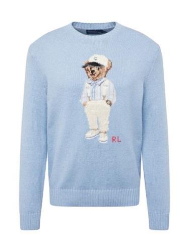 Polo Ralph Lauren Pullover  marin / lyseblå / brun / hvid