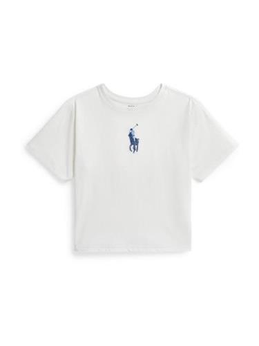 Polo Ralph Lauren Bluser & t-shirts  lyseblå / mørkeblå / hvid