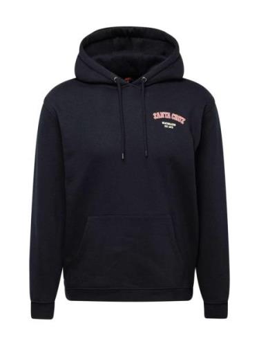 Santa Cruz Sweatshirt  lyseblå / rød / sort / offwhite