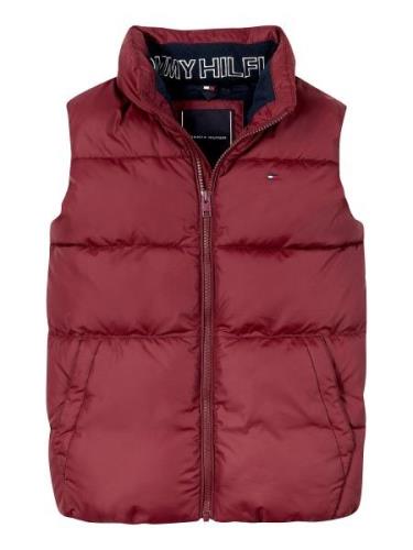 TOMMY HILFIGER Vest  merlot