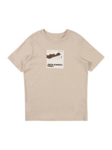 Jack & Jones Junior Shirts 'JCOART'  beige / brun / hvid