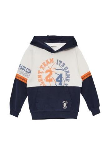 s.Oliver Sweatshirt  navy / dueblå / orange / offwhite