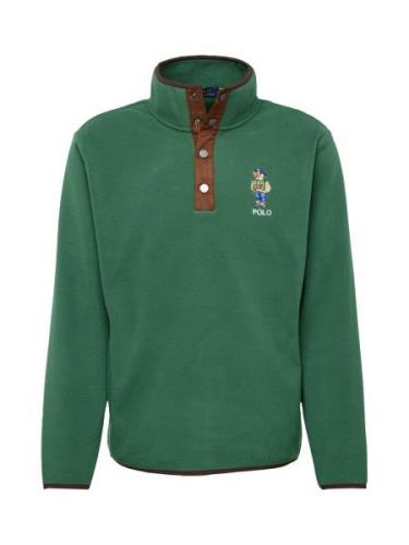 Polo Ralph Lauren Sweatshirt  beige / brun / grøn / hvid