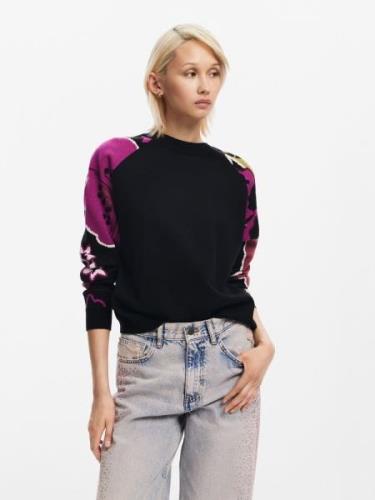 Desigual Pullover  blandingsfarvet / sort