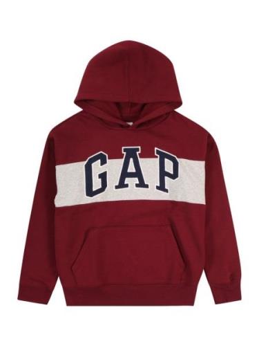 GAP Sweatshirt  mørkeblå / grå-meleret / carminrød / hvid