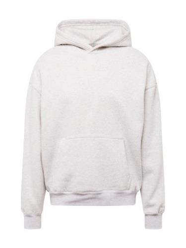 HOLLISTER Sweatshirt  grå-meleret