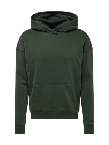 HOLLISTER Sweatshirt  mørkegrøn