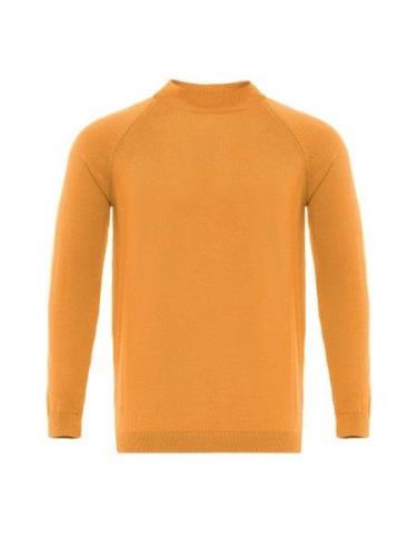 Dandalo Pullover  orange